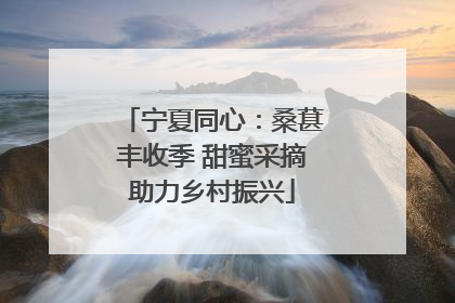宁夏同心：桑葚丰收季 甜蜜采摘助力乡村振兴