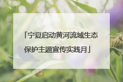 宁夏启动黄河流域生态保护主题宣传实践月