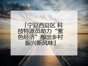 宁夏西夏区 科技特派员助力“紫色经济”酿出乡村振兴新风味