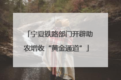 宁夏铁路部门开辟助农增收“黄金通道”