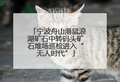 宁波舟山港鼠浪湖矿石中转码头矿石堆场巡检进入“无人时代”