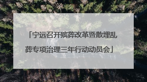 宁远召开殡葬改革暨散埋乱葬专项治理三年行动动员会