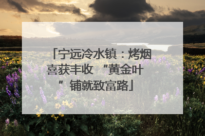 宁远冷水镇：烤烟喜获丰收 “黄金叶”铺就致富路