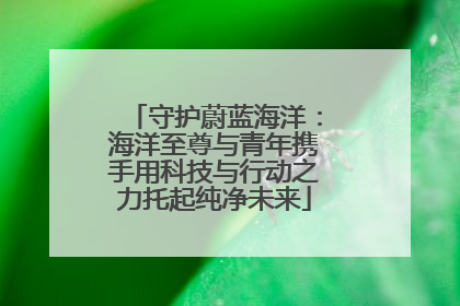 守护蔚蓝海洋：海洋至尊与青年携手用科技与行动之力托起纯净未来