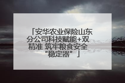 安华农业保险山东分公司科技赋能+双精准 筑牢粮食安全“稳定器”