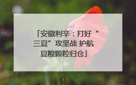 安徽利辛：打好“三夏”攻坚战 护航夏粮颗粒归仓