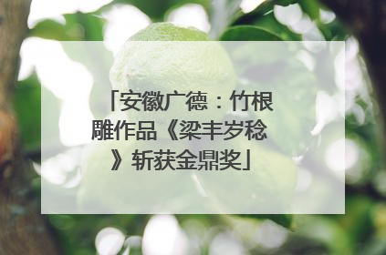 安徽广德：竹根雕作品《梁丰岁稔》斩获金鼎奖