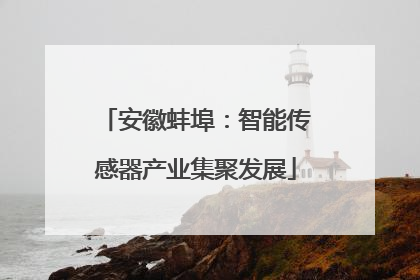 安徽蚌埠：智能传感器产业集聚发展