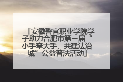 安徽警官职业学院学子助力合肥市第三届“小手牵大手、共建法治城”公益普法活动