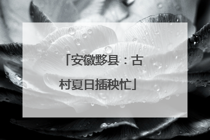 安徽黟县：古村夏日插秧忙