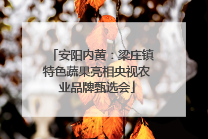 安阳内黄：梁庄镇特色蔬果亮相央视农业品牌甄选会