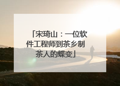 宋琦山：一位软件工程师到茶乡制茶人的蝶变