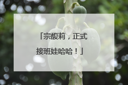 宗馥莉，正式接班娃哈哈！