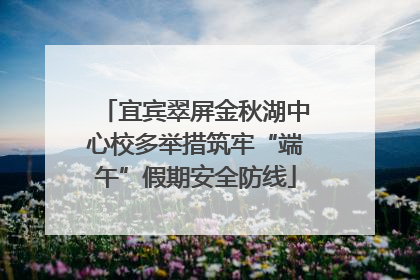 宜宾翠屏金秋湖中心校多举措筑牢“端午”假期安全防线