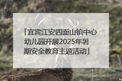 宜宾江安四面山镇中心幼儿园开展2025年暑期安全教育主题活动