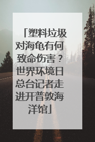 塑料垃圾对海龟有何致命伤害？世界环境日总台记者走进开普敦海洋馆