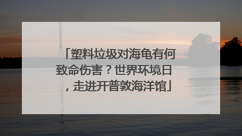 塑料垃圾对海龟有何致命伤害？世界环境日，走进开普敦海洋馆