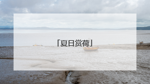 夏日赏荷