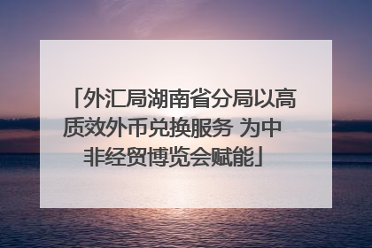 外汇局湖南省分局以高质效外币兑换服务 为中非经贸博览会赋能