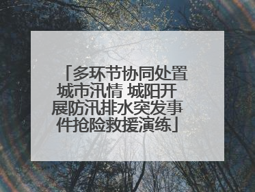 多环节协同处置城市汛情 城阳开展防汛排水突发事件抢险救援演练