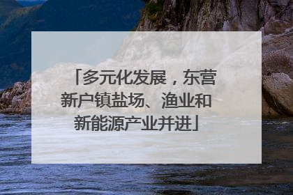 多元化发展，东营新户镇盐场、渔业和新能源产业并进