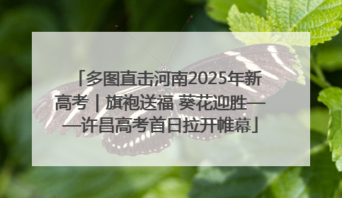 多图直击河南2025年新高考｜旗袍送福 葵花迎胜——许昌高考首日拉开帷幕