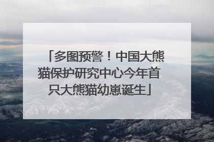 多图预警！中国大熊猫保护研究中心今年首只大熊猫幼崽诞生