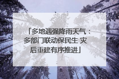 多地遇强降雨天气：多部门联动保民生 灾后重建有序推进