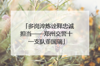 多岗淬炼诠释忠诚担当——郑州交警十一支队董国瑞