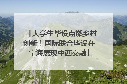 大学生毕设点燃乡村创新！国际联合毕设在宁海展现中西交融