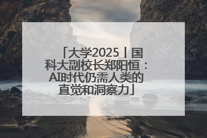 大学2025丨国科大副校长郑阳恒：AI时代仍需人类的直觉和洞察力