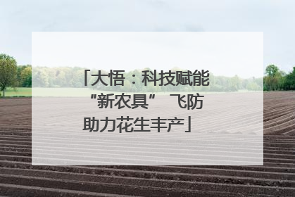 大悟：科技赋能“新农具” 飞防助力花生丰产