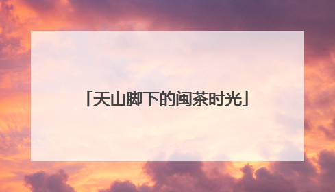 天山脚下的闽茶时光