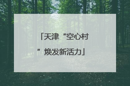 天津“空心村”焕发新活力