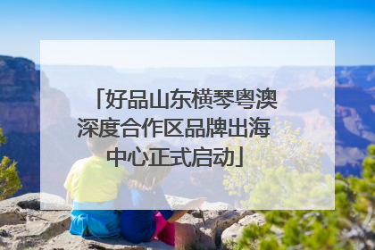 好品山东横琴粤澳深度合作区品牌出海中心正式启动
