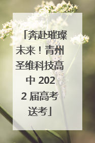 奔赴璀璨未来！青州圣维科技高中 2022 届高考送考