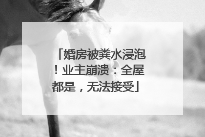 婚房被粪水浸泡！业主崩溃：全屋都是，无法接受