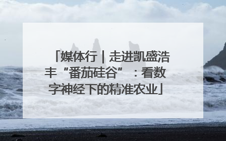 媒体行｜走进凯盛浩丰“番茄硅谷”：看数字神经下的精准农业
