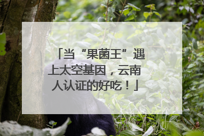 当“果菌王”遇上太空基因，云南人认证的好吃！