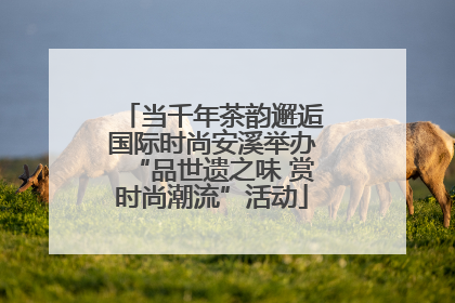 当千年茶韵邂逅国际时尚安溪举办“品世遗之味 赏时尚潮流”活动