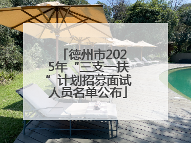 德州市2025年“三支一扶”计划招募面试人员名单公布