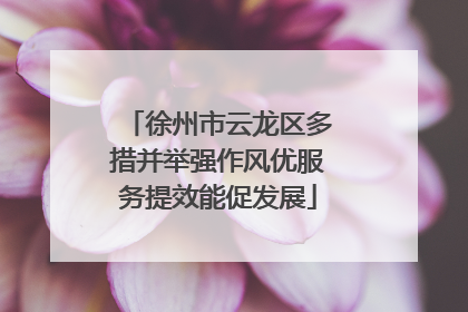 徐州市云龙区多措并举强作风优服务提效能促发展