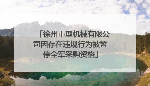 徐州重型机械有限公司因存在违规行为被暂停全军采购资格