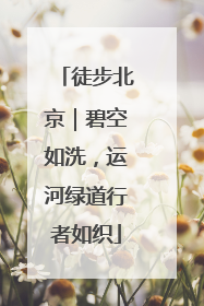 徒步北京｜碧空如洗，运河绿道行者如织