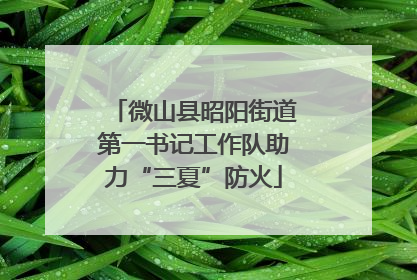 微山县昭阳街道第一书记工作队助力“三夏”防火