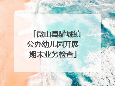 微山县驩城镇公办幼儿园开展期末业务检查