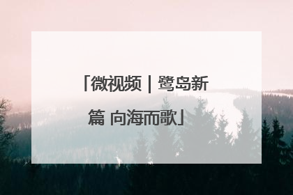 微视频｜鹭岛新篇 向海而歌
