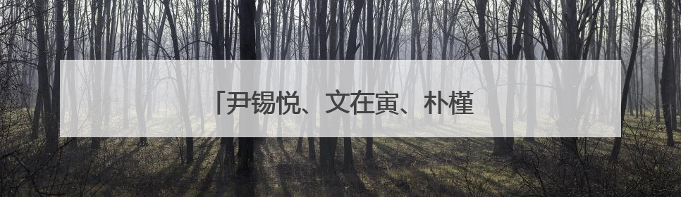 尹锡悦、文在寅、朴槿惠、李明博，纷纷出面