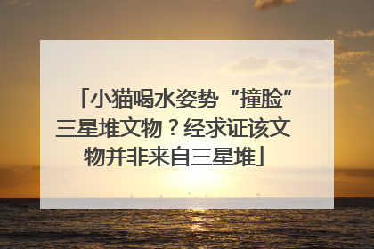 小猫喝水姿势“撞脸”三星堆文物？经求证该文物并非来自三星堆