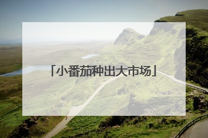 小番茄种出大市场